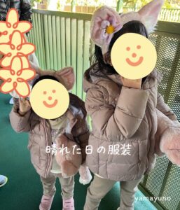 【極寒の2月】未就学児と行く雨の冬ディズニー！持って行ってよかった物・服装まとめ