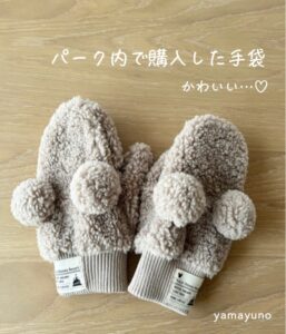 【極寒の2月】未就学児と行く雨の冬ディズニー！持って行ってよかった物・服装まとめ